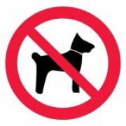 Знак P14 «запрещается вход с животными»