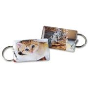 ключ заготовка Котята EPOXY (чип H2) 125кГц (68401)